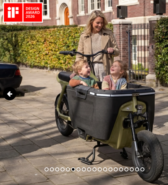 Elektro Transportfahrrad  CargoX, Familie, 2 Rad, mit Code, Hydr. Bremsen,  versch. Farben